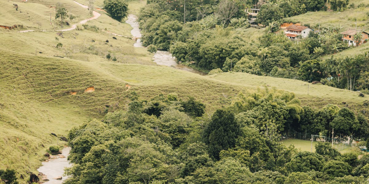 Benefícios dos segredos de beleza caseiros